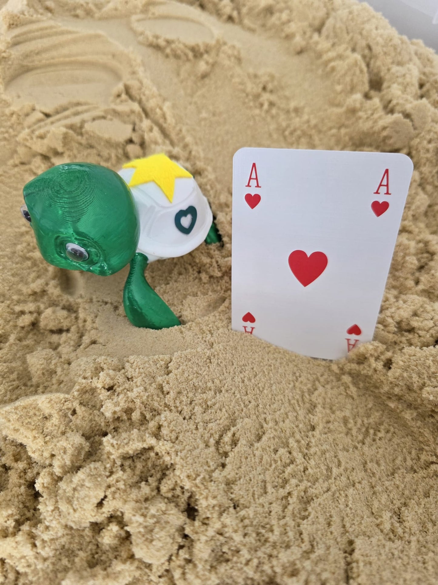 Noodle: The Doodle Turtle - Fun Seaside Character Figure