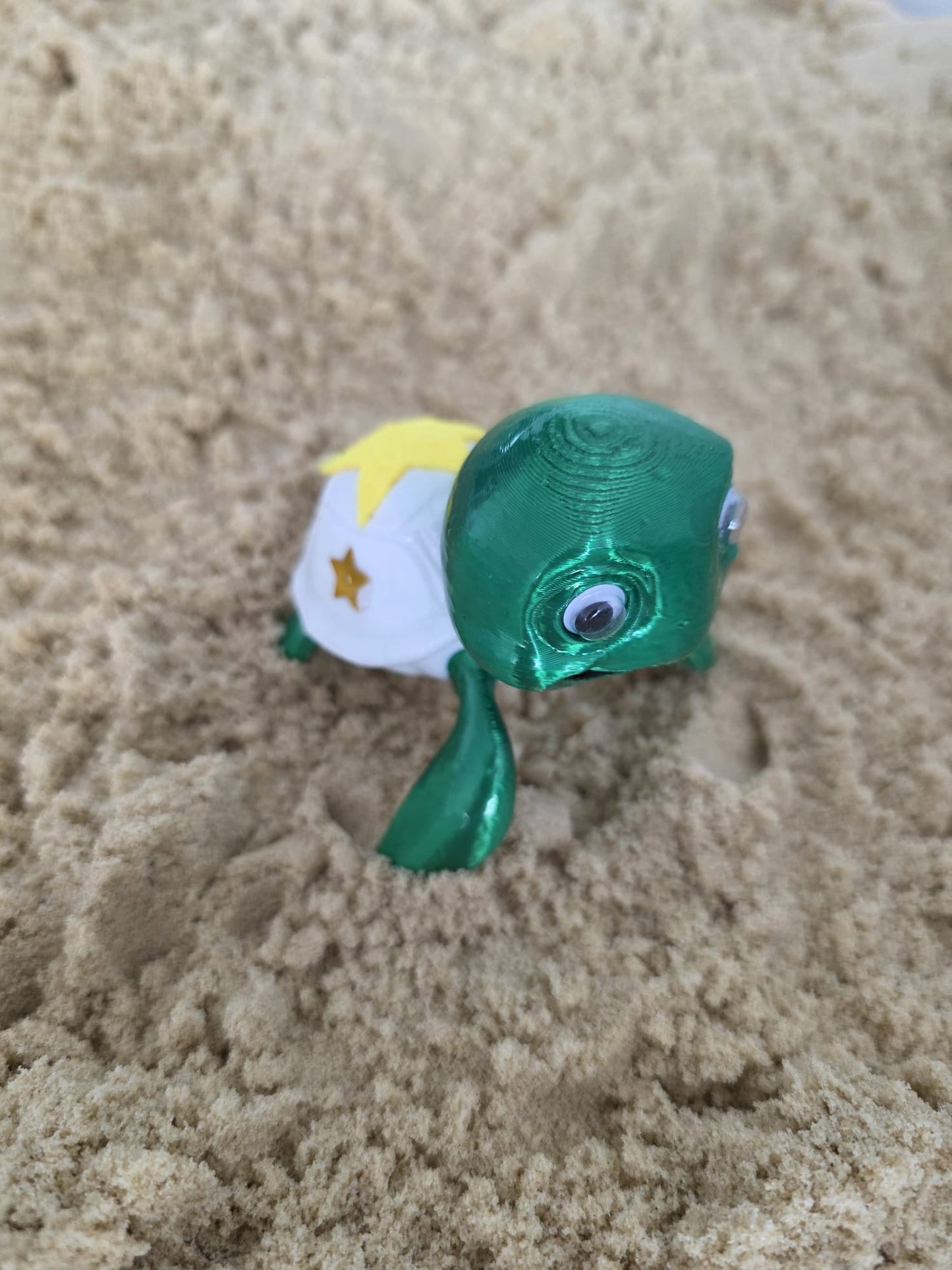 Noodle: The Doodle Turtle - Fun Seaside Character Figure