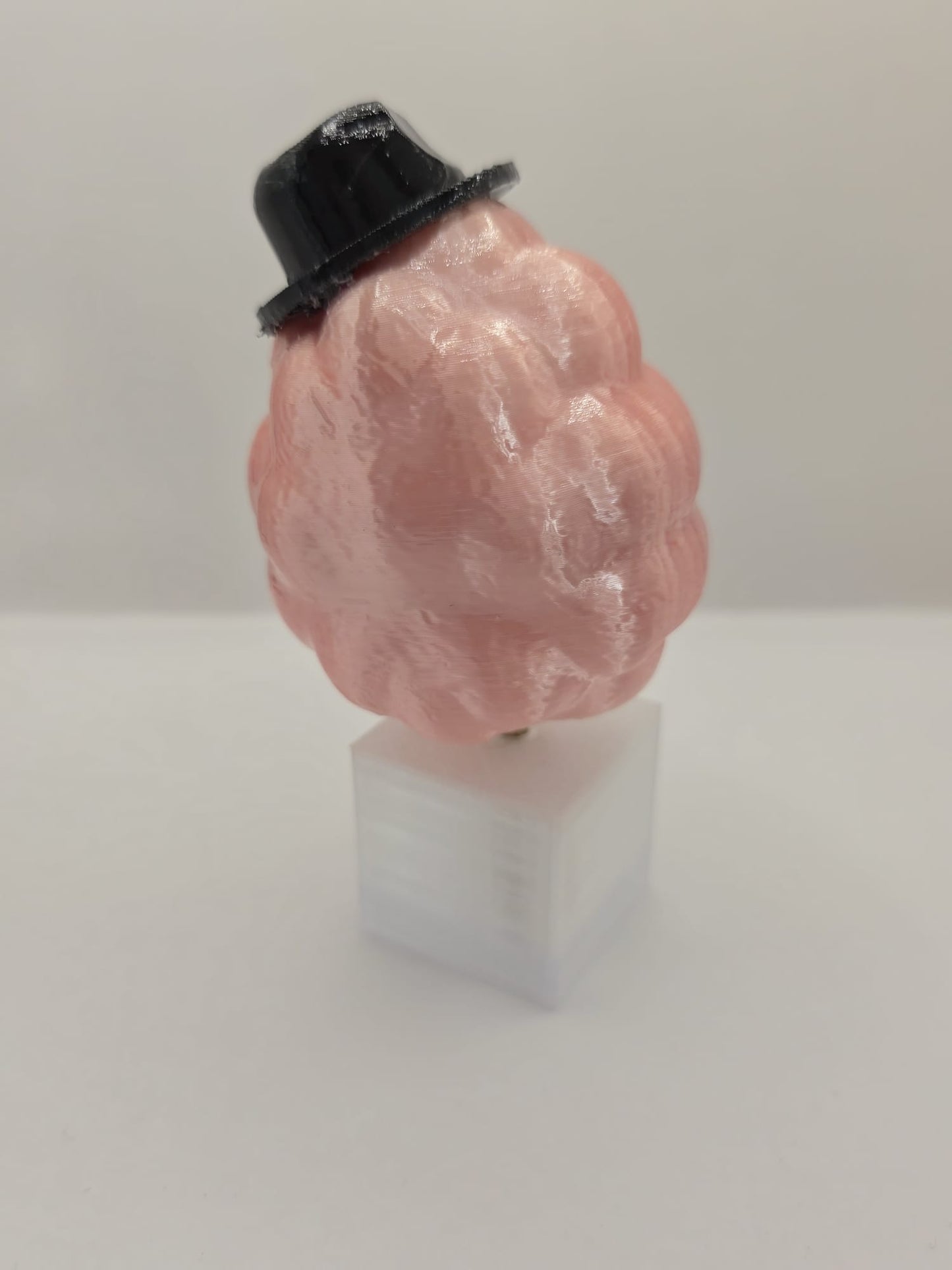 Cammy The Candyfloss: The Unsuccessful Detective - Fun Seaside Character Figure