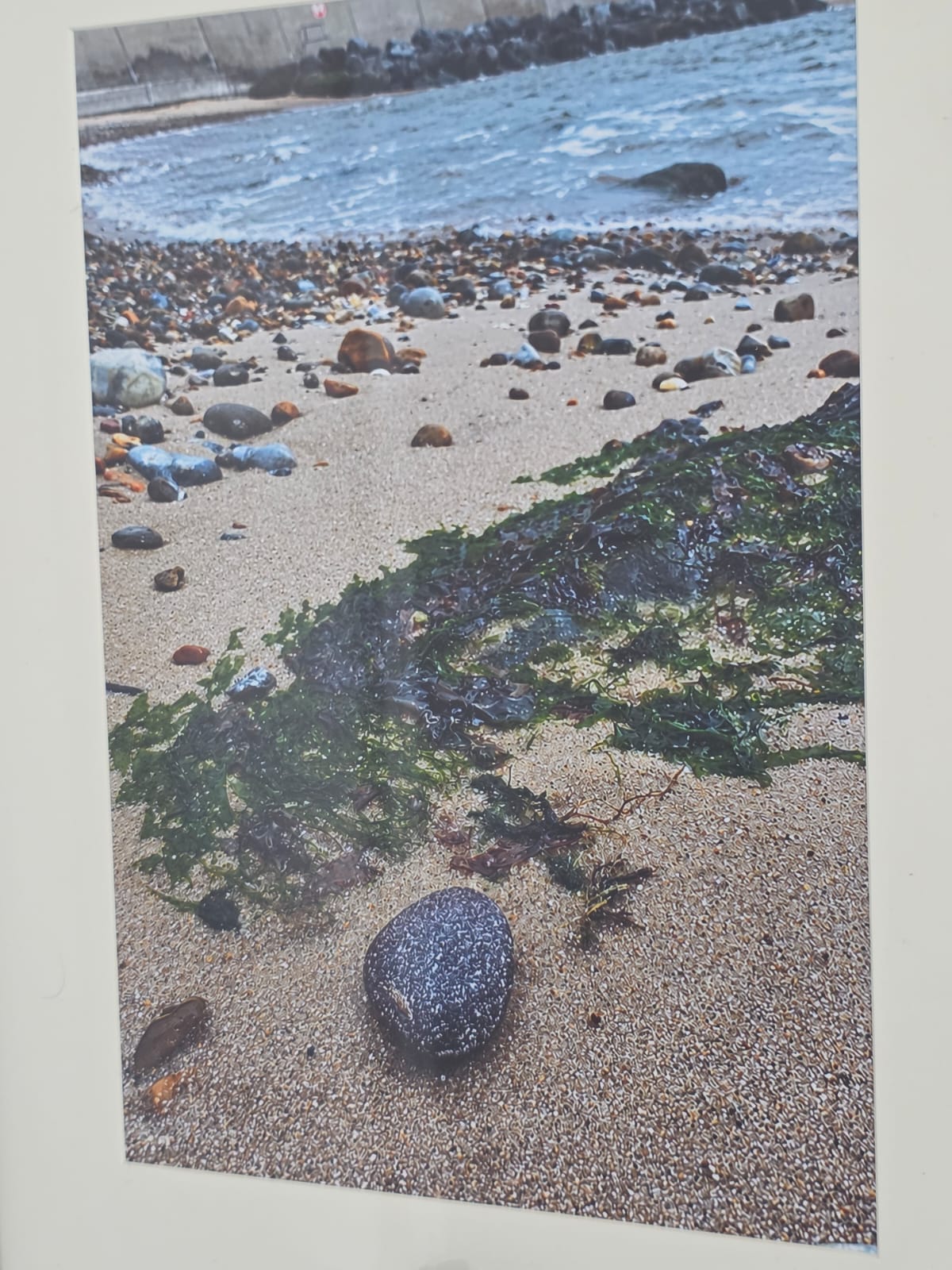 Sea Glass Photo Framed Art Picture with Actual Found Sea Glass in Display Box