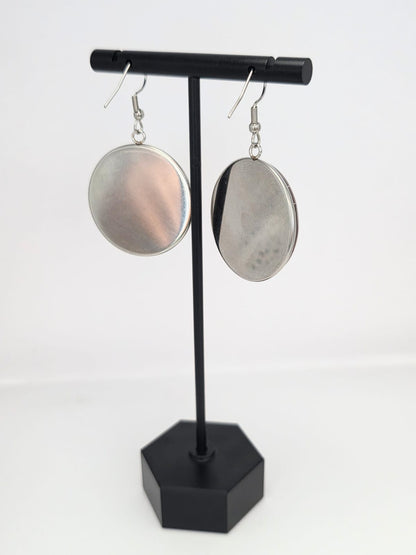 Slime Rancher Inspired Pink & Tabby Dangle Stainless Steel Fish Hook Earrings