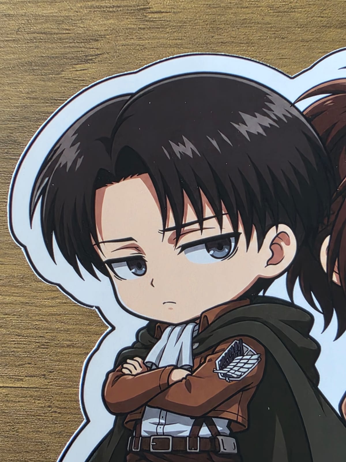 Attack on Titan Inspired Levi & Hange Glossy Die Cut Sticker | 2 Sizes Available