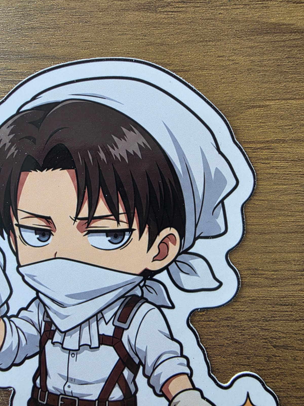 Attack on Titan Inspired Levi Cleaning Glossy Die Cut Sticker | 2 Sizes Available