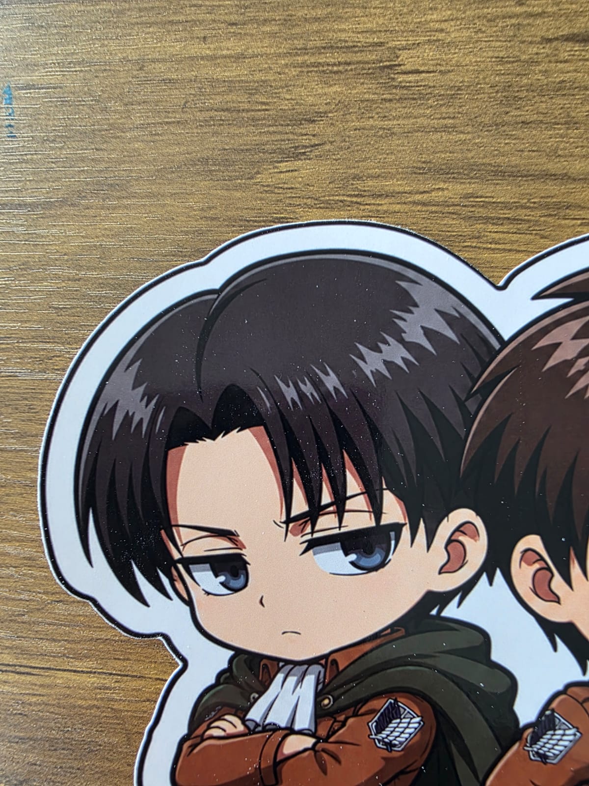 Attack on Titan Inspired Levi & Eren Glossy Die Cut Sticker | 2 Sizes Available