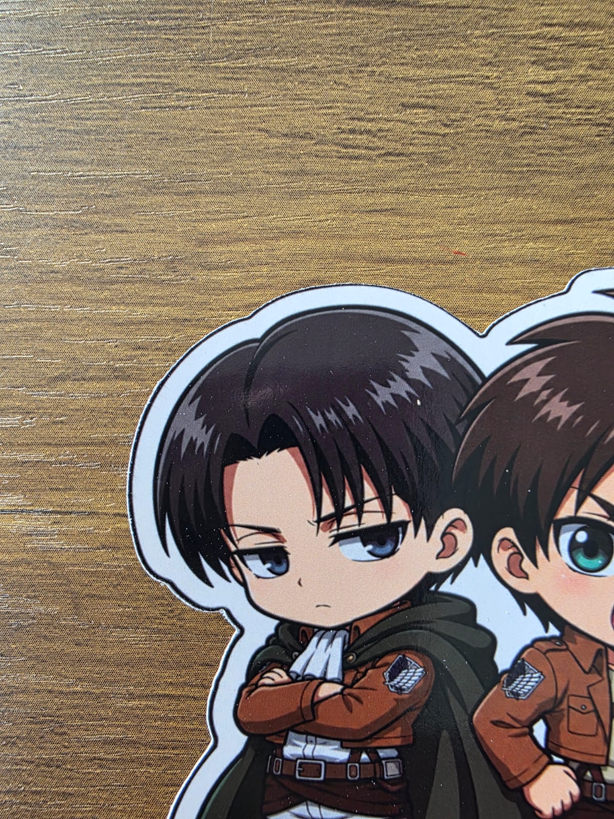 Attack on Titan Inspired Levi & Eren Glossy Die Cut Sticker | 2 Sizes Available